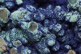 Vibrant Malachite and Azurite on Quartz Crystals - China #213831-2